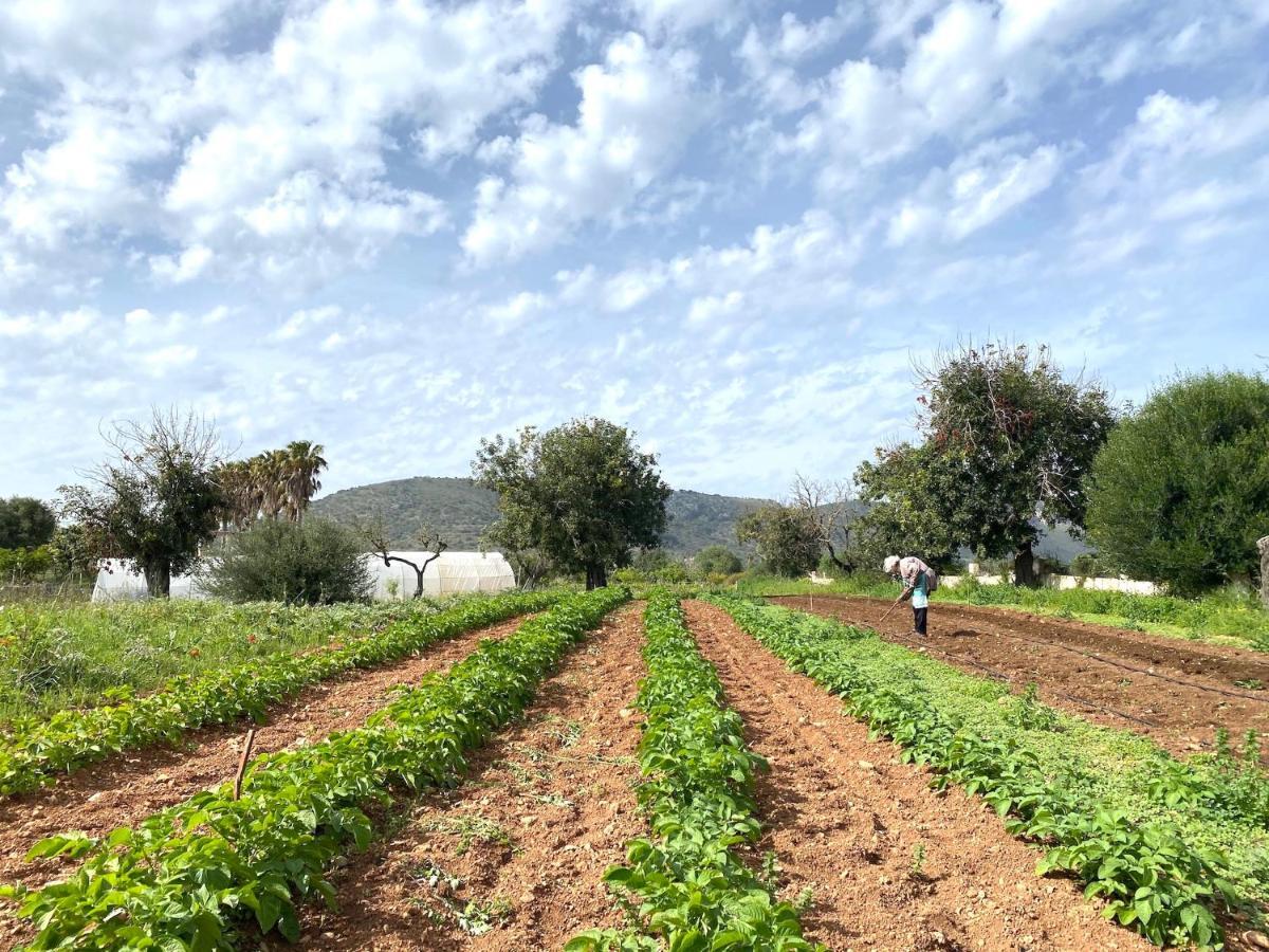 Bauernhof Ses Cases Noves Sant Llorenc Des Cardassar